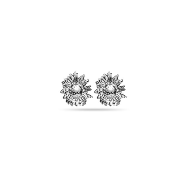 Boucles d'Oreilles Grandes Marguerites Couleur:Argent