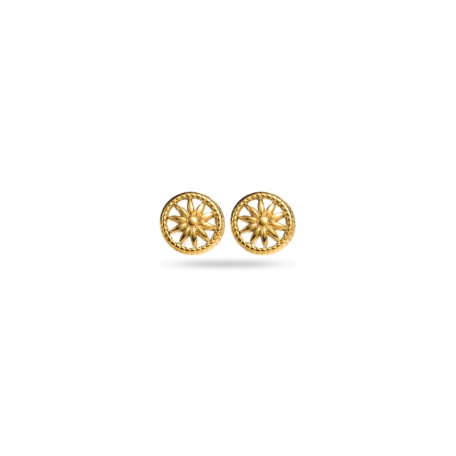 Infinity and Rosace Studs Earring Set 