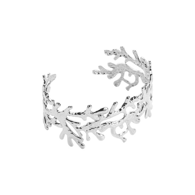 Bracelet Jonc Couleur:Argent