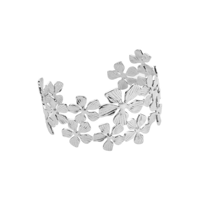 Bracelet Jonc Couleur:Argent