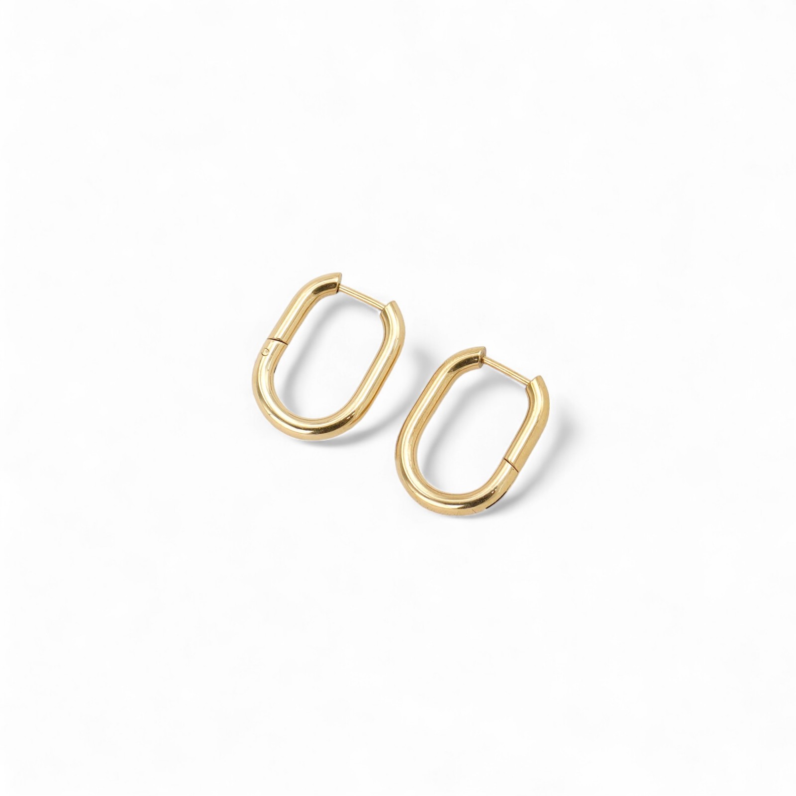 Oval Hoops Earrings