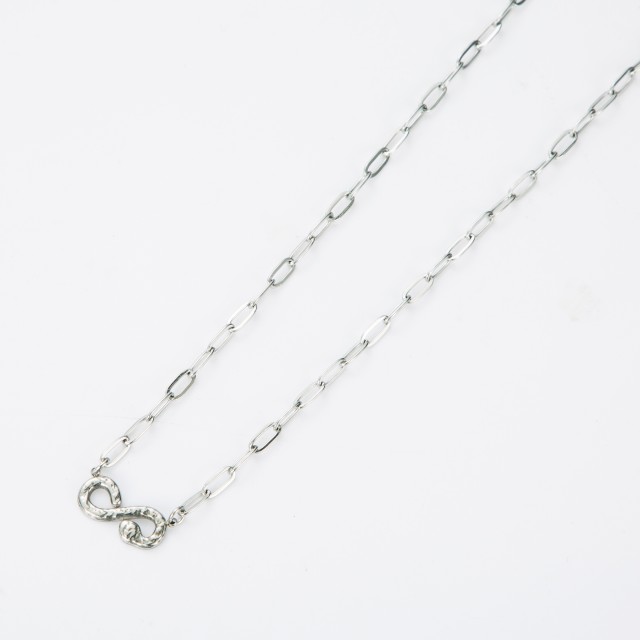 Stainless Steel Necklace (Short)  